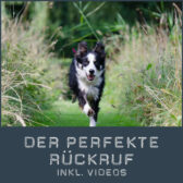 shop-perfekterrueckruf_videos