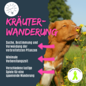 shop_kraeuterwanderung