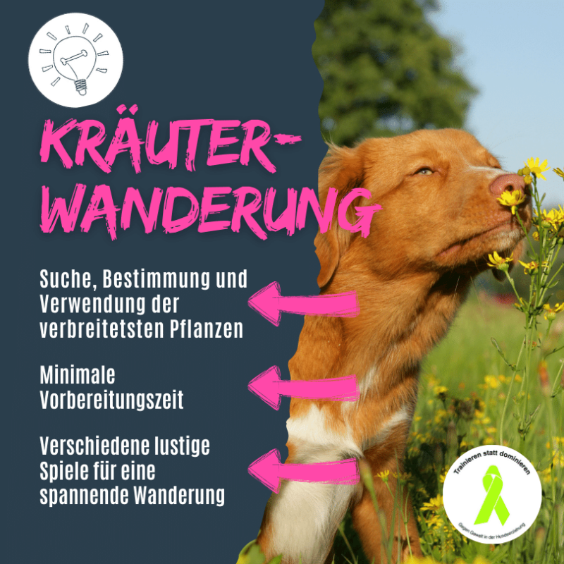 Kräuterwanderung für Hundeschulen