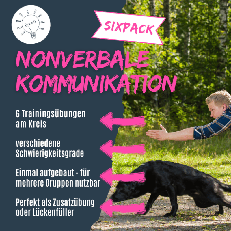 Trainingsideen zur nonverbalen Kommunikation mit Hund