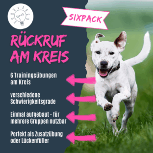 shop_sixpackrueckruf
