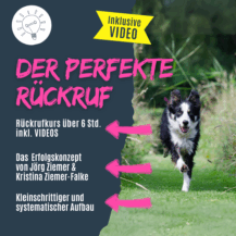 Shop_perfekter rückruf