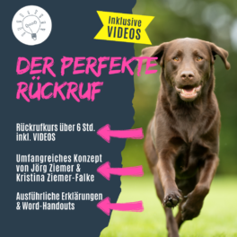 Shop_perfekter_Rückruf