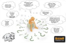 belcando_ernaehrungsvideo