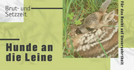 FB-Post_Brut-Setzzeit