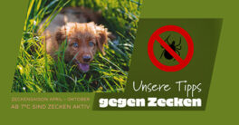 FB-Post_Zeckensaison