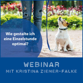Shop-WebinarEinzelstundeZiemerFalke