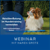 Shop-Webinar_Reizüberflutung