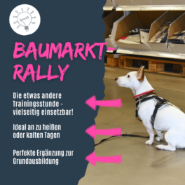 shop_baumarktrally