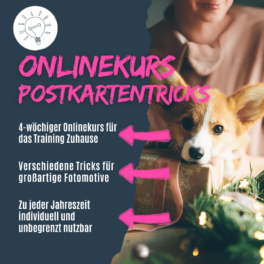 Shop_Onlinekurs_Postkartentricks