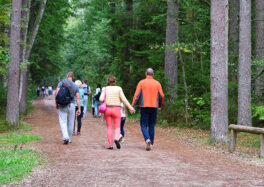 group-of-family-people-walking-on-wide-path-in-forest-in-summer