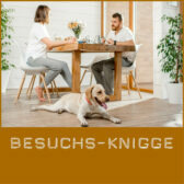 Shop-BesuchsKnigge
