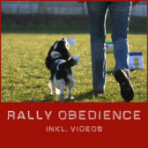 Shop-Rally-Obedience_Video