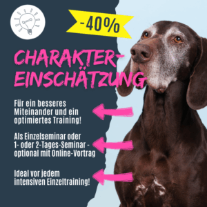 Charaktereinschätzung inkl. VIDEO [Digital]