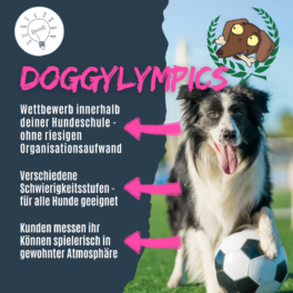 Shop_Doggylympics
