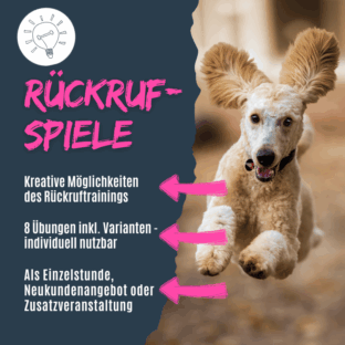 shop_rueckrufspiele