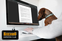 newsletter-bb-header-2