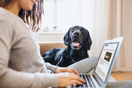 A midsection of teenage girl with a dog sitting on a sofa indoors, working on a laptop.