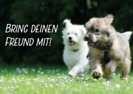 FreundeWerben-Postkarte