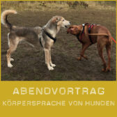 Shop-VortragKörpersprache