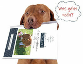 the dog ate my homework