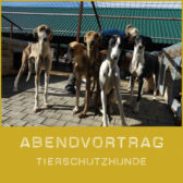 Shop-VortragTierschutz