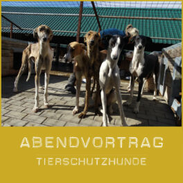 shop-vortragtierschutz