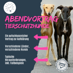Vortrag über Tierschutzhunde