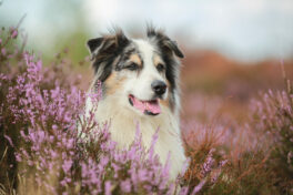 melaniestoeger_es7a4670