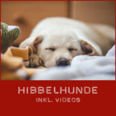Shop-Hibbelhunde_Videos