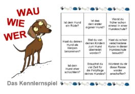 wauwiewer_kennlernspiel
