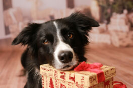 MelanieStoeger_ES7A2196