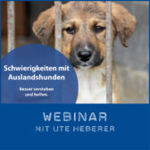 Shop-WebinarAuslandshundeUte