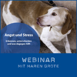 Shop-WebinarMarenAngstStress