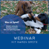 Shop-WebinarMarenSpiel