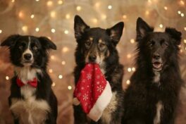 MelanieStoeger_IMG_3398_