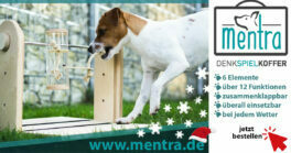 post_gewinnspiel_trainer