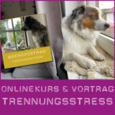 Shop-Trennungsstress_Onlinekurs
