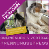 Shop-Trennungsstress_Onlinekurs_Patchy