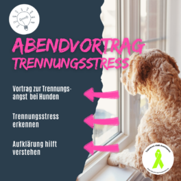 Shop_Vortrag_Trennungsstress