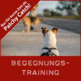 Shop-Begegnungstrainig_Patchy