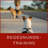 Shop-Begegnungstraining