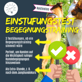 shop_einstufungstest_begegnungstraining