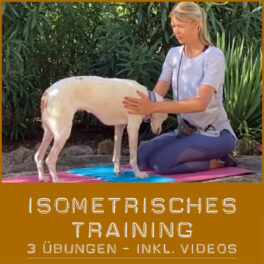 Shop-IsometrischesTraining