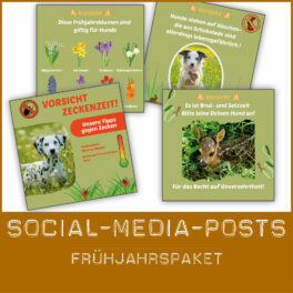 shop-posts_fruehjahr