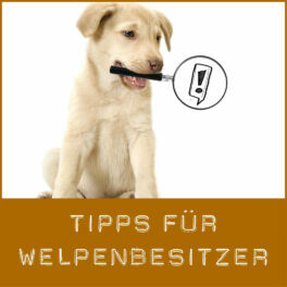 Shop-TippsWelpenbesitzer