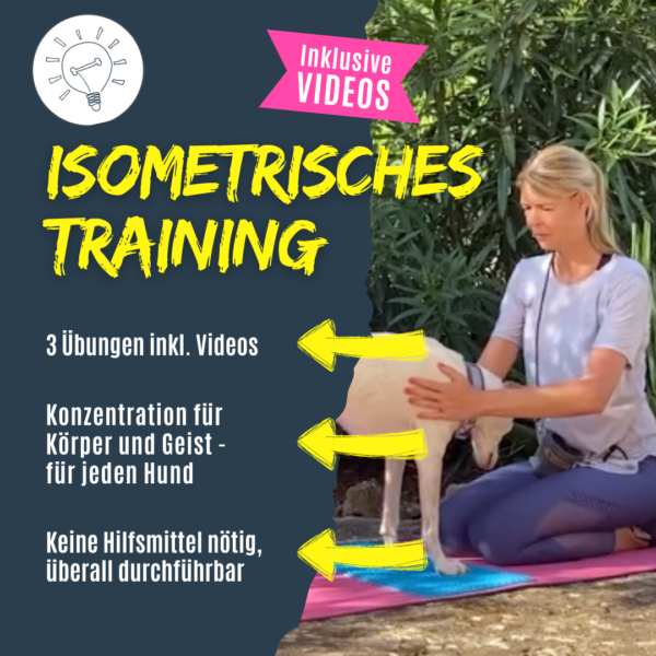 Isometrische Trainingsübungen für den Hund