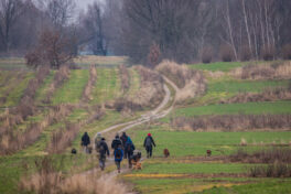 happy-group-of-people-walking-with-dogs-a-group-of-people-take