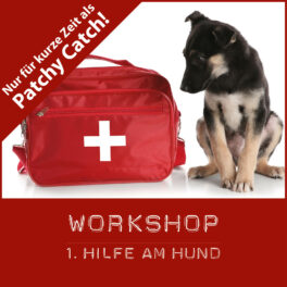 Shop-ersteHilfe_Patchy