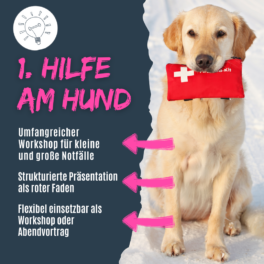 shop_erstehilfeworkshop